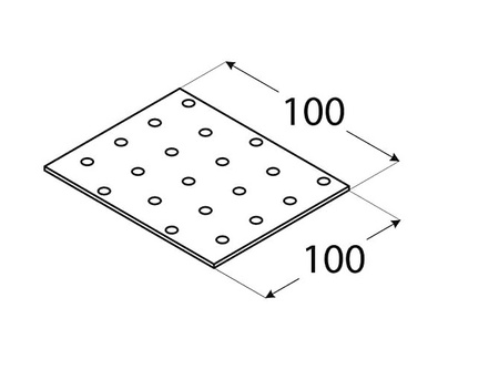 PP35 Lochplatte 100x100x2,0