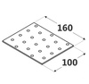 PP36 Lochplatte 100x160x2,0